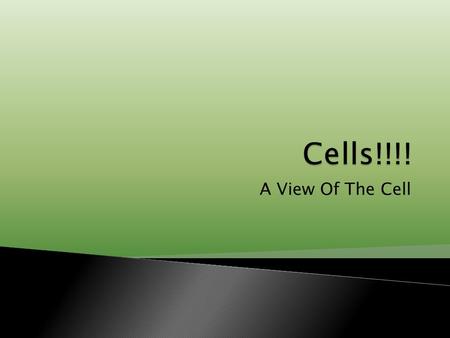 A View Of The Cell.  Simple light microscope – one lens ◦ Anton van Leeuwenhoek: 1600’s  Compound light microscope – multiple lenses ◦ Maximum Magnification: