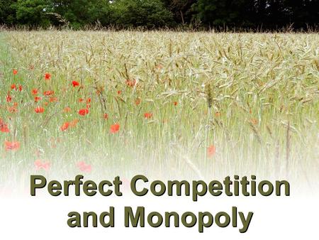 Perfect Competition and Monopoly. Alternative Market Structures.