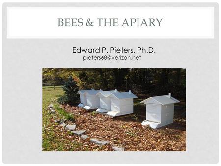 BEES & THE APIARY Edward P. Pieters, Ph.D.