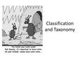 Classification and Taxonomy