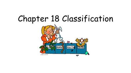 Chapter 18 Classification. 18.1 Finding Order in Diversity Systematics – science of naming and grouping organisms Binomial Nomenclature – two word naming.