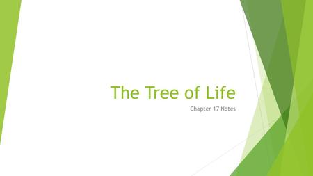 The Tree of Life Chapter 17 Notes. Rose 17.1- Early scientists named new found organisms however they wanted and it was usually named after the founder.