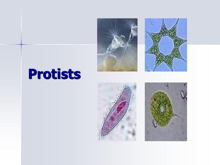 Protists. Classification Formerly Kingdom Protista Formerly Kingdom Protista –Modern taxonomists now place them in many different kingdoms Essentially,