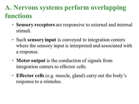 Sensory receptors are responsive to external and internal stimuli. Such sensory input is conveyed to integration centers where the sensory input is interpreted.