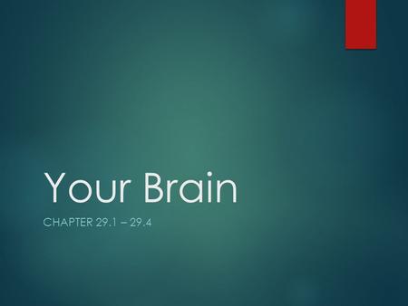 Your Brain CHAPTER 29.1 – 29.4. Nervous System  You have 2 different major nervous systems  Peripheral nervous system (PNS)  Central nervous system.