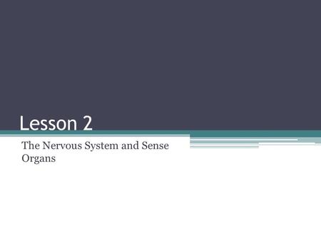 Lesson 2 The Nervous System and Sense Organs. How Does the Brain Control the Body? The brain and the spinal cord make up the central nervous system. The.