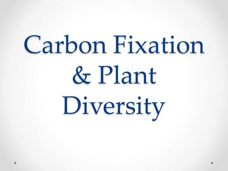 Carbon Fixation & Plant Diversity. Carbon Fixation Reactions Forming organic molecules from CO 2.