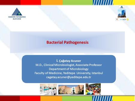 Bacterial Pathogenesis İ. Çağatay Acuner M.D., Clinical Microbiologist, Associate Professor Department of Microbiology Faculty of Medicine, Yeditepe University,