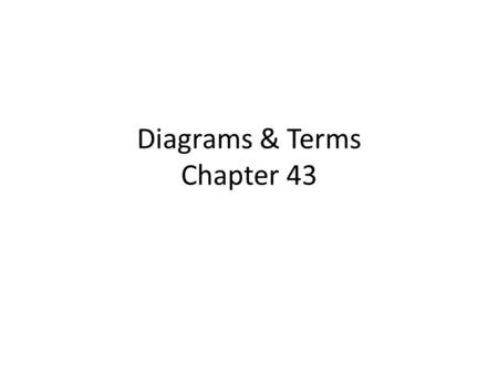 Diagrams & Terms Chapter 43. Match the Terms 1.General term: engulfs, traps & digests invader 2.Protein that a virus-infected cell secretes, inducing.