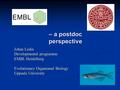 – a postdoc perspective Johan Ledin Developmental programme EMBL Heidelberg Evolutionary Organismal Biology Uppsala University.