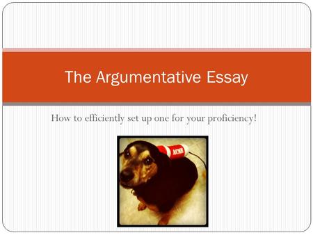 How to efficiently set up one for your proficiency! The Argumentative Essay.