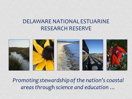 DELAWARE NATIONAL ESTUARINE RESEARCH RESERVE Promoting stewardship of the nation’s coastal areas through science and education …