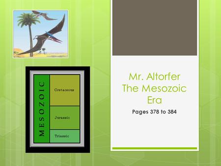 Mr. Altorfer The Mesozoic Era Pages 378 to 384.  Geology of the Mesozoic Era  The Mesozoic era is divided into the Triassic Period, the Jurassic period,