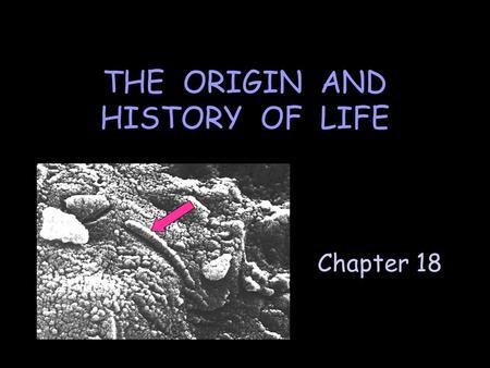 Chapter 18 THE ORIGIN AND HISTORY OF LIFE. A. The Origin of Life Clues from geology & paleontology provide us with information of Early Earth.