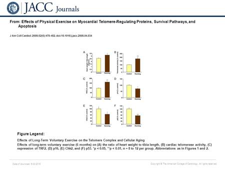 Date of download: 5/30/2016 Copyright © The American College of Cardiology. All rights reserved. From: Effects of Physical Exercise on Myocardial Telomere-Regulating.