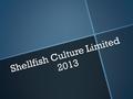 Shellfish Culture Limited 2013. Strategic plan objectives continue to be met in 2013 Production reliability (hatchery/pre-nursery) Product sizes, 5, 6,