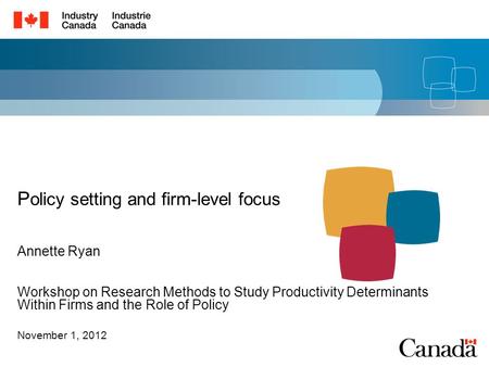 Workshop on Research Methods to Study Productivity Determinants Within Firms and the Role of Policy November 1, 2012 P olicy setting and firm-level focus.