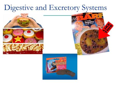 Digestive and Excretory Systems. What is “digestion” Process of breaking down food into simpler molecules that can be absorbed by the body  Break up.