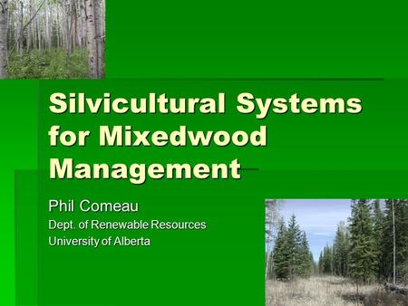 Silvicultural Systems for Mixedwood Management Phil Comeau Dept. of Renewable Resources University of Alberta.