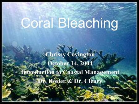 Coral Bleaching Chrissy Covington October 14, 2004 Introduction to Coastal Management Dr. Hosier & Dr. Cleary.