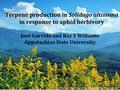 Terpene production in Solidago altissima in response to aphid herbivory José Garrido and Ray S Williams Appalachian State University https://blueridgeimpressions.files.wordpress.com/2014/09/goldenrod.jpg.