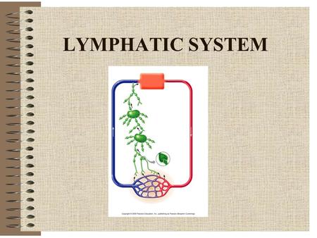 LYMPHATIC SYSTEM.