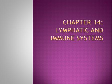  Drainage system: transports proteins and fluids that have leaked out of the capillaries back to the bloodstream  Absorbs lipids (fats) from the small.