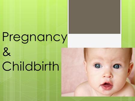 Pregnancy & Childbirth. Video How Pregnancy Happens – The Fun Way   MgNnrU  MgNnrU.