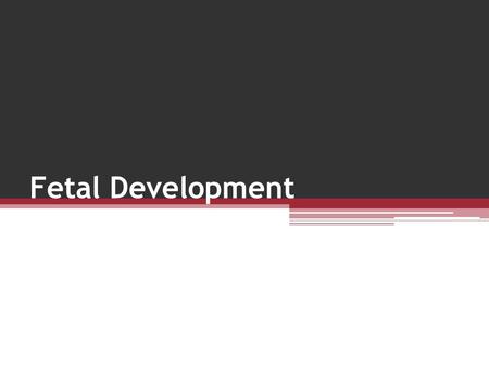 Fetal Development. Challenges the sperm encounter in reaching the egg a.20% defective b.25% die immediately c.Acid environment of the female body d.Immune.