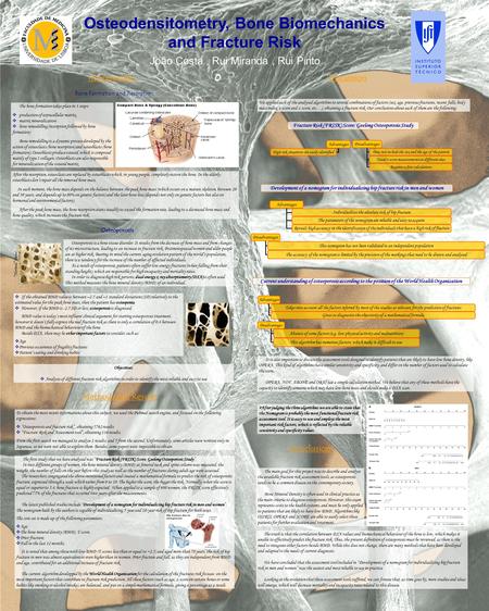 Osteodensitometry, Bone Biomechanics and Fracture Risk João Costa, Rui Miranda, Rui Pinto “Normal” Bone Introduction The bone formation takes place in.