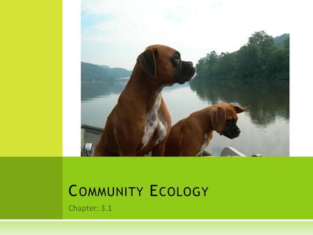 Chapter: 3.1 C OMMUNITY E COLOGY.  All living organisms are limited by factors in the environment  A biological community is a group of interacting.