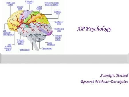 AP Psychology Scientific Method Research Methods: Descriptive.