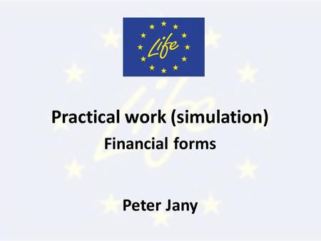 Practical work (simulation) Financial forms Peter Jany.