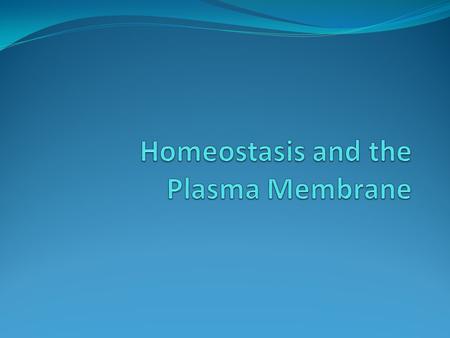 Membrane structure Plasma membrane: helps cells regulate and adjust to continuously changing environment The cell needs to keep its internal concentration.