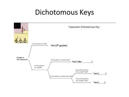 Dichotomous Keys.