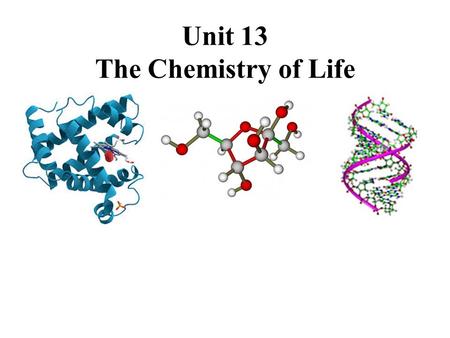 Unit 13 The Chemistry of Life. Lecture Outline -Chemistry review (atoms) -Components of a living cell (molecular level) -Carbon (what is so special?)