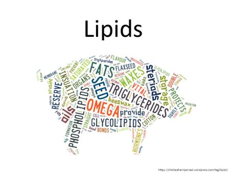 Lipids https://chelseaharripersad.wordpress.com/tag/lipids/