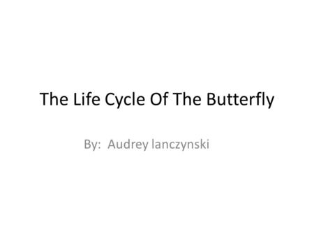 The Life Cycle Of The Butterfly By: Audrey lanczynski.