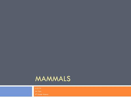 MAMMALS 6/2/14 Mr. Faia 6 th Grade Science. What is a Mammal?  Mammals are:  Endothermic vertebrates  4 Chambered heart  Skin covered with fur or.