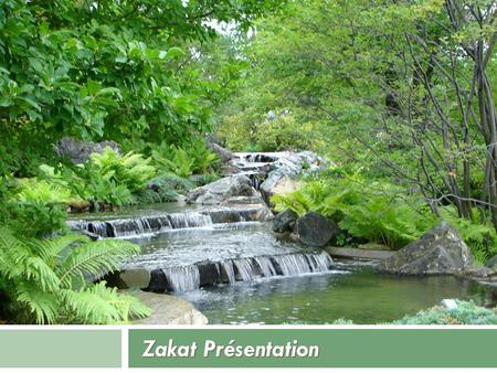 Zakat Présentation. Table of Cotents  Quick overview of Zakat al-Fitr  Zakat al-Maal  This course will not include Zakah on livestock or agriculture.