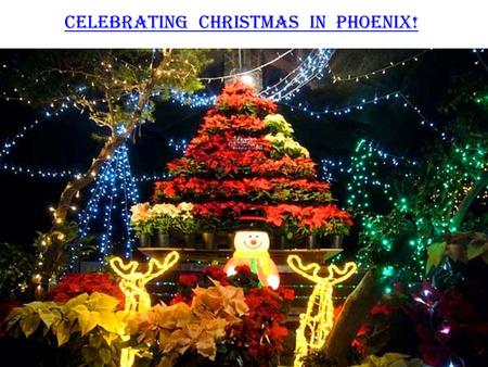 Celebrating Christmas in Phoenix!. It’s that time of the year again, Where the air carries the aroma of baking treats, People carry that cheer of the.