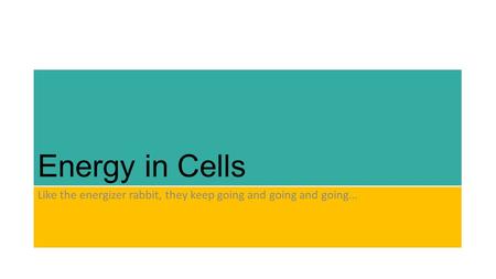 Energy in Cells Like the energizer rabbit, they keep going and going and going…