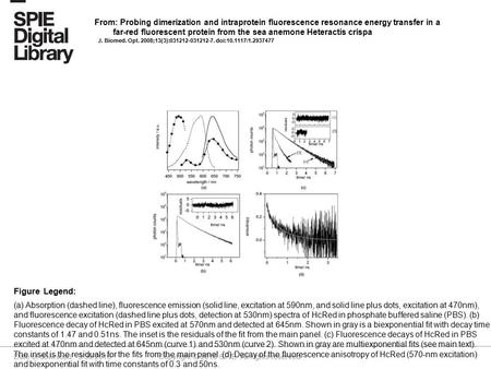 Date of download: 5/30/2016 Copyright © 2016 SPIE. All rights reserved. (a) Absorption (dashed line), fluorescence emission (solid line, excitation at.