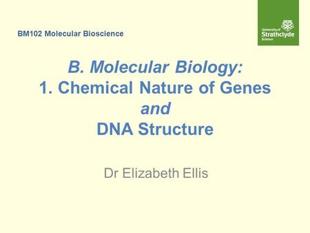 B. Molecular Biology: 1. Chemical Nature of Genes and DNA Structure Dr Elizabeth Ellis BM102 Molecular Bioscience.