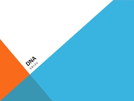 DNA SBI3U. WHAT MACROMOLECULE CARRIES GENETIC INFORMATION? Agenda for October 22 nd 2013 1.Intro DNA notes 2.Create DNA.