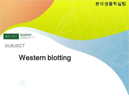 Western blotting 분자생물학실험 SUBJECT. 분자생물학실험 이번 주 다음 주.