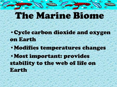 The Marine Biome Cycle carbon dioxide and oxygen on Earth Modifies temperatures changes Most important: provides stability to the web of life on Earth.