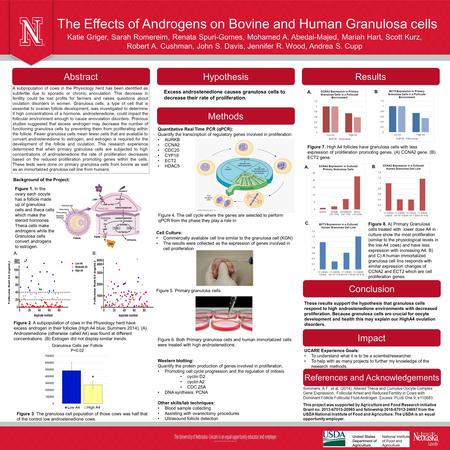 The Effects of Androgens on Bovine and Human Granulosa cells Katie Griger, Sarah Romereim, Renata Spuri-Gomes, Mohamed A. Abedal-Majed, Mariah Hart, Scott.