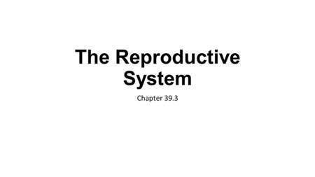 The Reproductive System