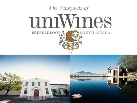 “I put South African Pinots in the same category as world-class Pinots from France or California. From inexpensive Chenin up to $100-and over reds, we.